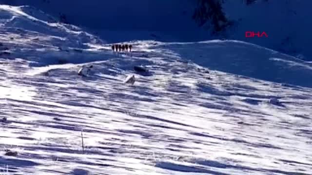 Bursa uludağ'da kaybolan 2 dağcı, 34 saattir aranıyor