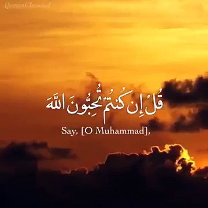 تلاوة صباحية __ قل إن كنتم تحبون الله فاتبعوني يحببكم الله   حالات واتس اب اسلامية دينية قرأن __