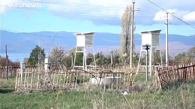 Балканское озеро Преспа подает сигнал SOS