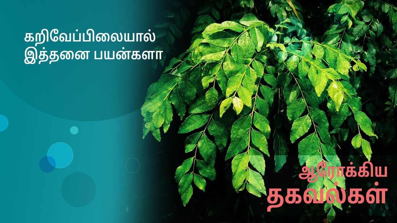 கறிவேப்பிலையால் இத்தனை பயன்களா..!