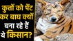 Karnataka : Why farmers painted their dog like a tiger | वनइंडिया हिंदी