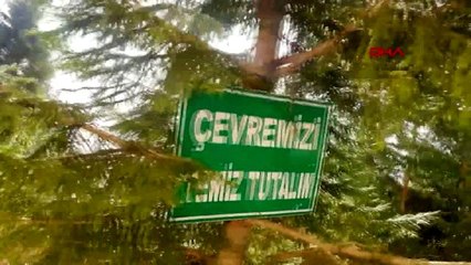 Rize engelli sporcu dağcılığa başladı, zirveye tırmandı