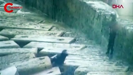 Arnavutköy'de hayrete düşüren görüntü: Fotoğraf ve video çekmeye çalıştılar