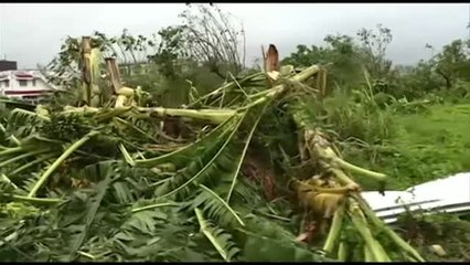 Descargar video: El tifón Kammuri provoca importantes destrozos a su paso por Filipinas