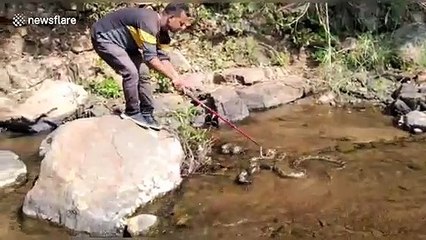 Eight-foot-python found wrapped up around truck in south-east India