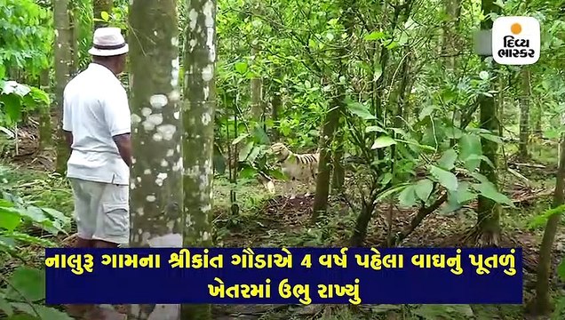 વાંદરાઓના ત્રાસથી પાકને બચાવવા ખેડૂતે પોતાના કુતરાને બનાવી દીધો ‘વાઘ’