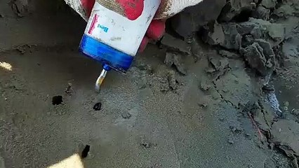 Il suffit d'un peu de sel pour faire sortir des animaux incroyables du sol sur la plage - couteaux