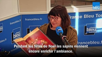 le coin des livres - Chenonceau