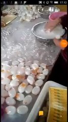Duplicate Plastic egg injuries to health |must watch|