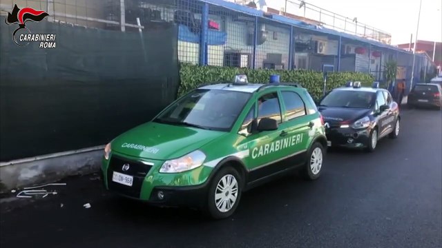 Roma - Cani maltrattati, denunciata titolare ristorante cinese (03.12.19)