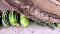 Crushing Crunchy & Soft Things by Car! EXPERIMENT CAR vs Pumpkin