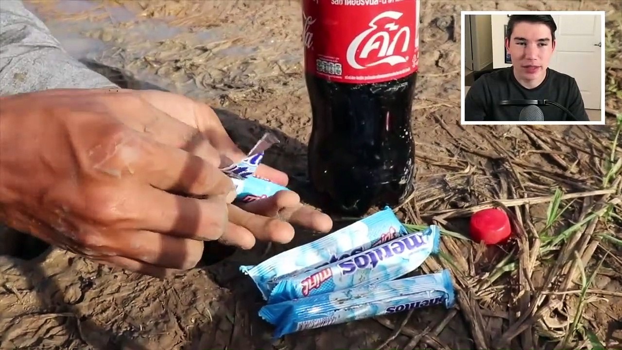 EXPERIMENT: COCA COLA and MENTOS vs EELS!