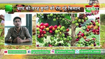 Kisan Bulletin : UttarPradesh के आलू किसानों को मिला बड़ा तोहफा | Grameen News