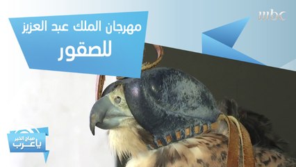 فعاليات مهرجان الملك عبدالعزيز للصقور