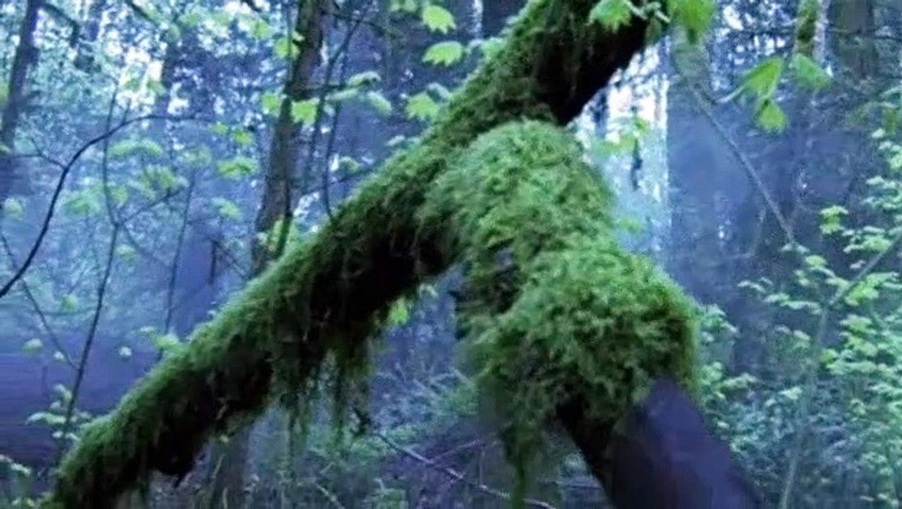 Stargate Atlantis S04E08 - The Seer