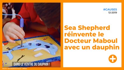 Sea Shepherd réinvente le Docteur Maboul avec un dauphin