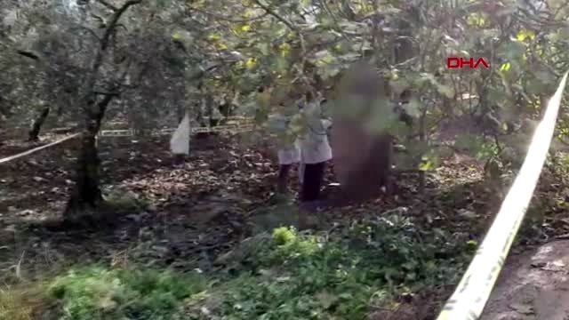 Bursa-zeytin hasadında ağaca asılı ceset buldu