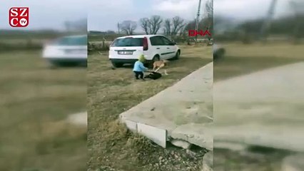 Sokak köpeğini ısırmaya çalışan minik Miraç, güldürdü