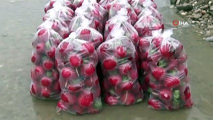 Kadınların soğuk suda ekmek mücadelesi