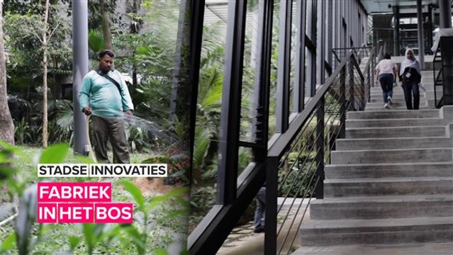 Deze fabriek is geweldig voor de werknemers