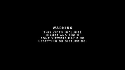 100kg 'ball of rubbish' found in stomach of whale on Scottish beach