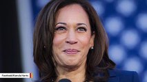 Kamala Harris Reportedly Drops Out Of 2020 Presidential Race