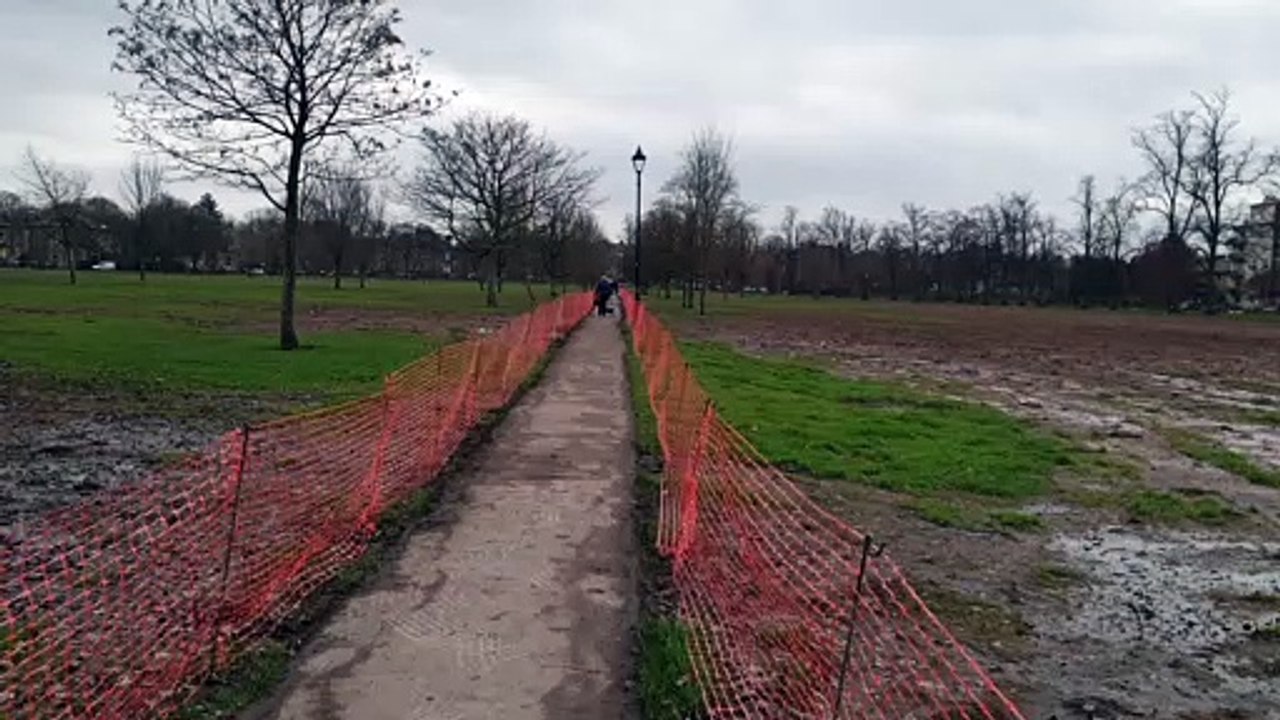 How the Stray looked in November 2019