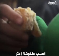 سبب غريب وراء انتحار اللبناني ناجى الفليطي