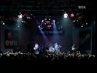 Jingo De Lunch did you ever