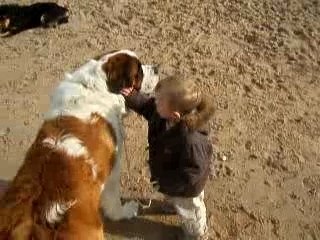 Je promene mon petit chien