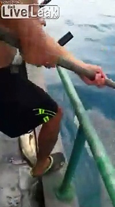 Ce pêcheur libère un requin prisonnier d'un filet de pêche en pleine mer !