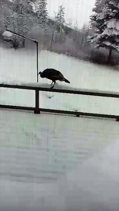 first snow