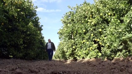 El Mar Menor en España se ahoga por los nutrientes