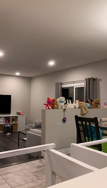 Rabbit Espionage