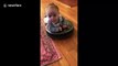 Ride-share Roomba: Baby catches a lift as Roomba cleans North Carolina home