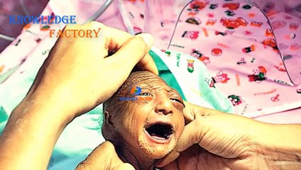 Qayamat ki Wo Nishaniyan jo Ajj Pori Ho rahi Hain