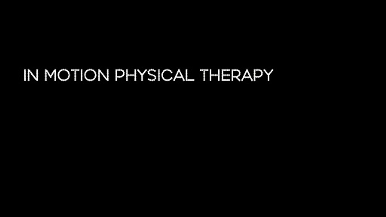 physical therapy lincoln park