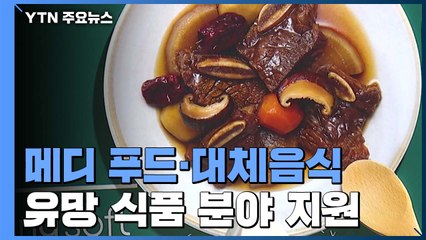 '메디 푸드·대체 음식'...유망 식품 분야 지원 / YTN