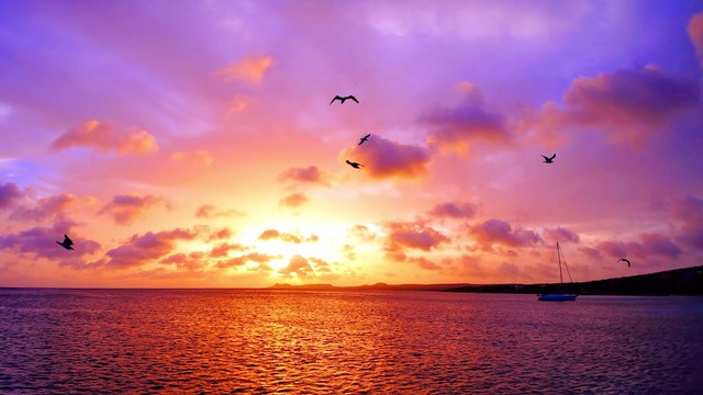 Adventures of a World-Traveling Scientist