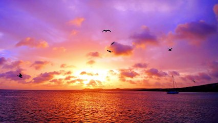 Adventures of a World-Traveling Scientist