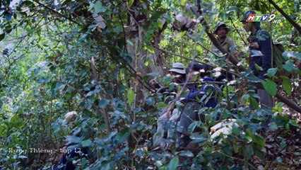 Rừng thiêng - tập 13