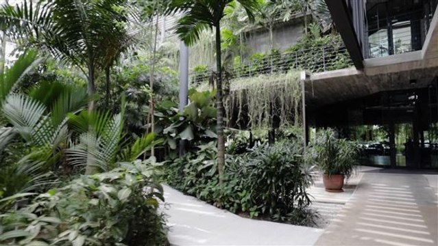 Sieht so das Unternehmen der Zukunft aus?