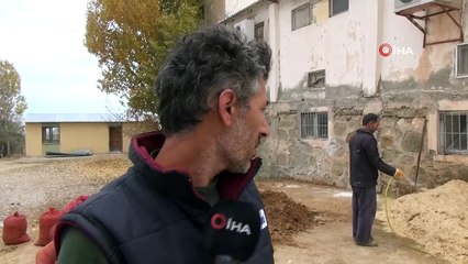 Van’da 'İstiridye mantarı' üretimi