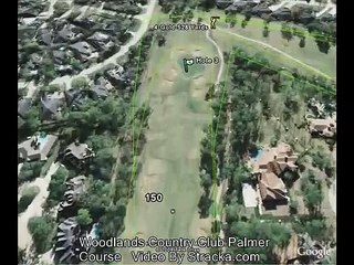 Glenn M Green The Woodlands TX