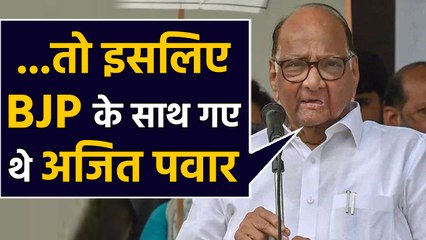 Sharad Pawar ने बताया,BJP के साथ क्यों गए थे Ajit Pawar | वनइंडिया हिंदी