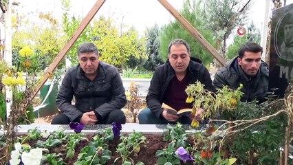 Uyuşturucu kullanıcıları mezarlıkları mesken tuttu