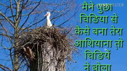 Motivational Sayari for Inspiration ✨