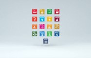 ODS: Objetivos de Desarrollo Sostenible