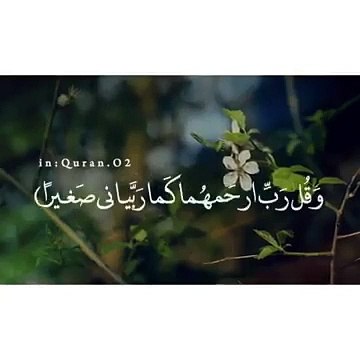 تلاوة صباحية حالات واتس اب اسلامية دينية قران