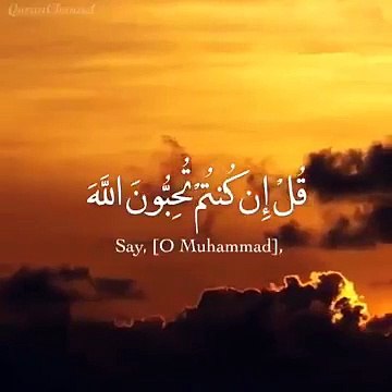 تلاوة صباحية __ قل إن كنتم تحبون الله فاتبعوني يحببكم الله __ حالات واتس اب اسلامية دينية قران